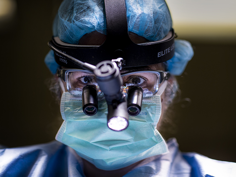 Dr. Michele Johnson has a private practice