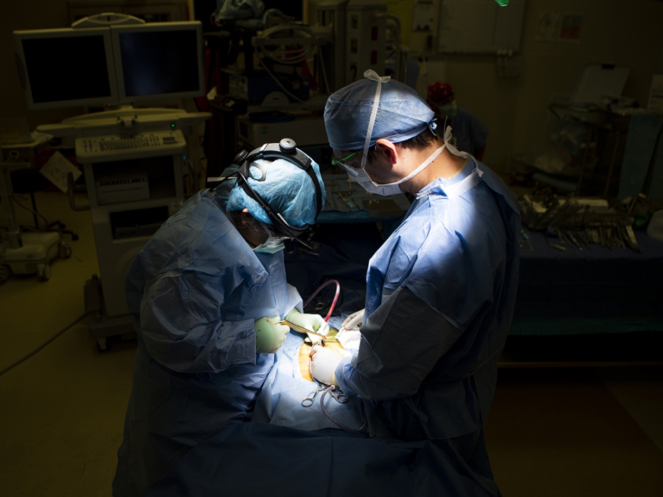 Doctors operating on a patient