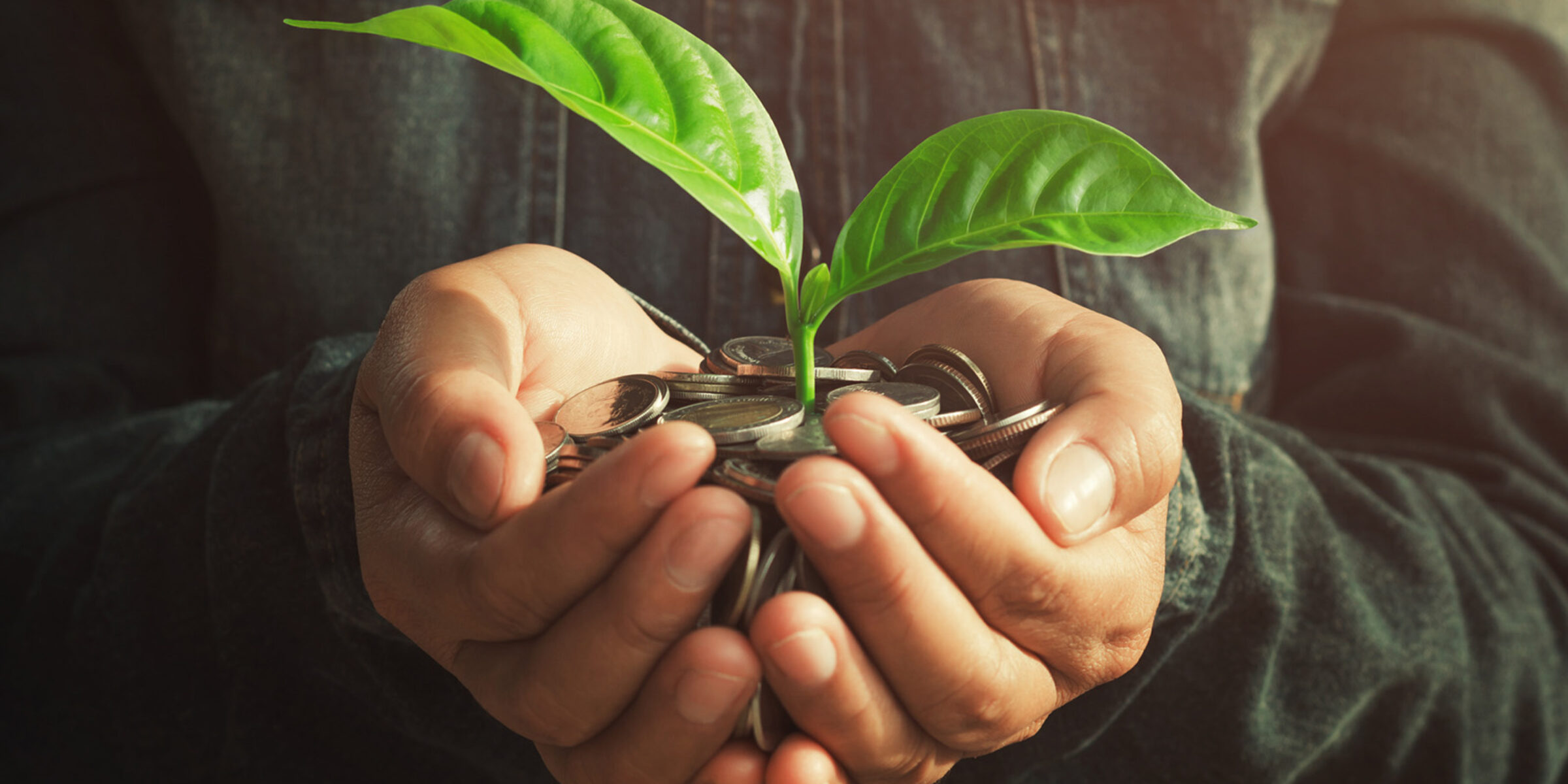 Hands holding a plant growing out of a handful of coins.